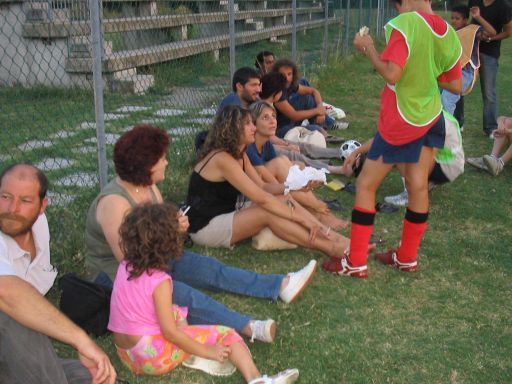Verdi vs Arancioni - il pubblico