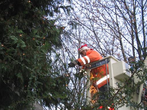 Sandro e Romolo addobbano l'albero di Natale