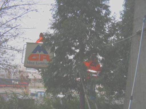 Sandro e Romolo addobbano l'albero di Natale