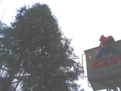 Sandro e Romolo addobbano l'albero di Natale