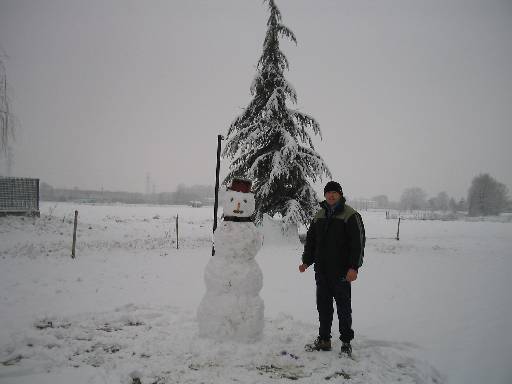 Il pupazzo di neve nel giardino condominiale